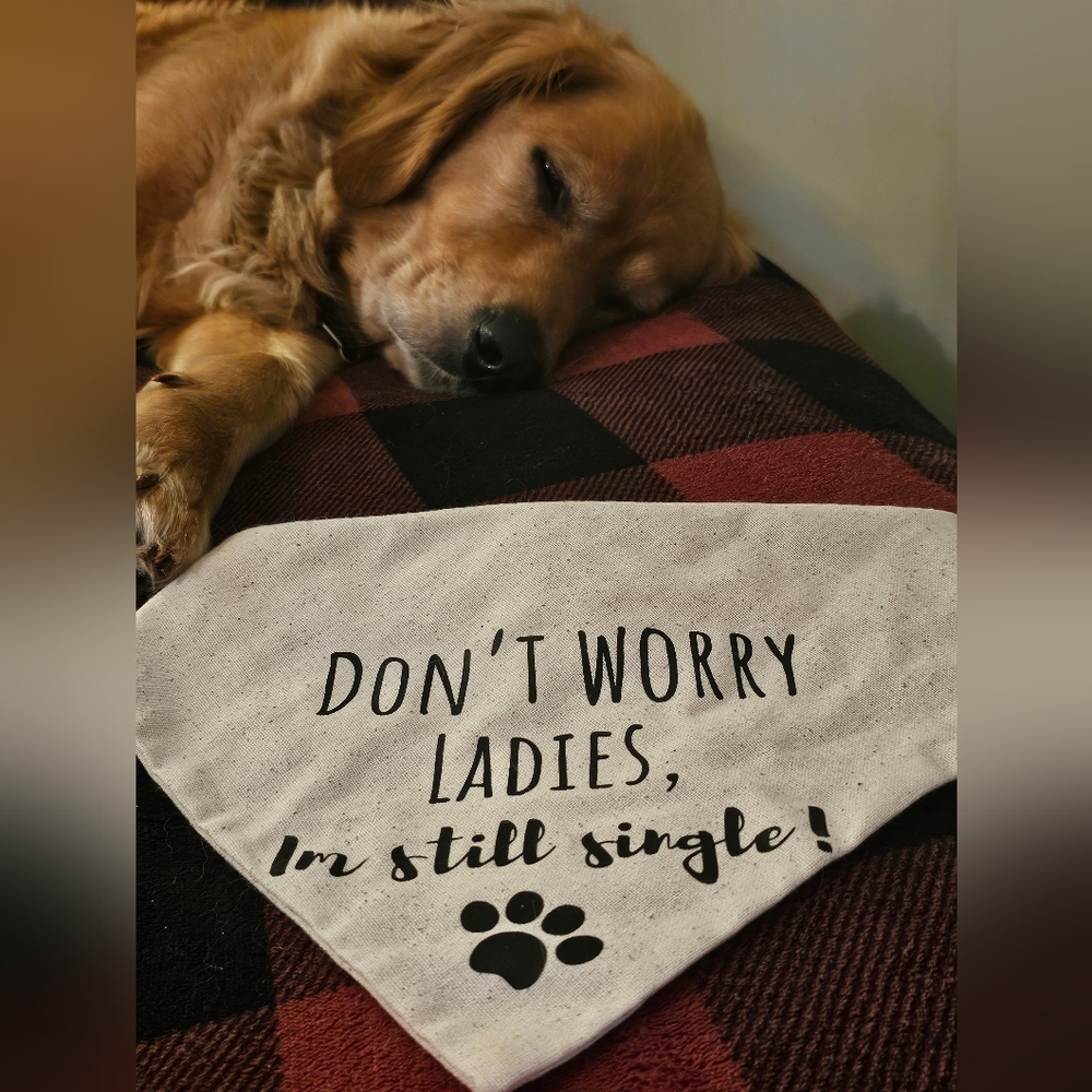 COPY - Don't worry Ladies, I'm still single bandana